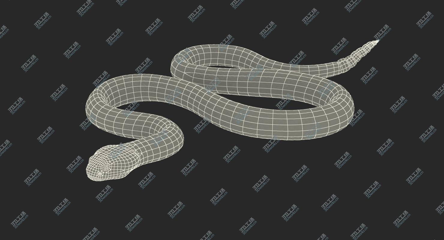 images/goods_img/202105072/Light Rattlesnake Crawling Pose 3D model/4.jpg